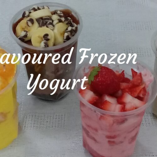 Flavoured frozen yogurt, Frozen yogurt.